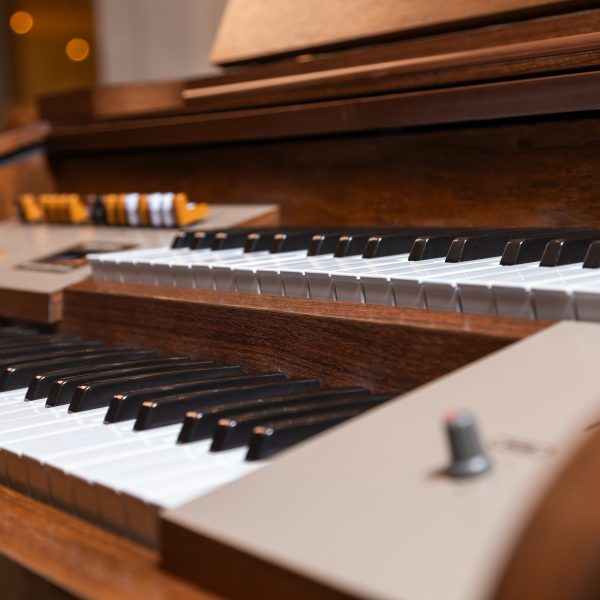 Órgão Harmonia HS 380 ELITE - Marrom
